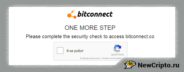bitconnect scam